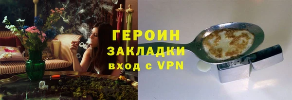 индика Арсеньев