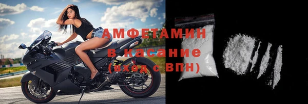 индика Арсеньев