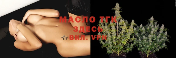 индика Арсеньев