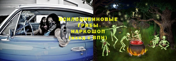 индика Арсеньев