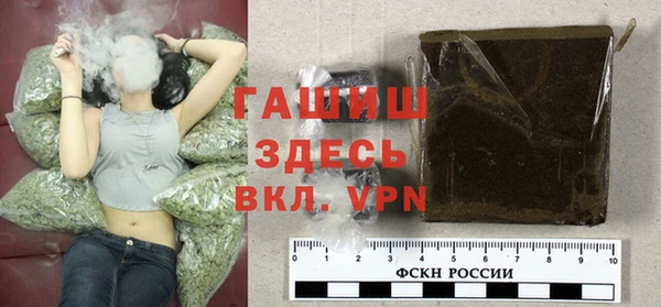 индика Арсеньев