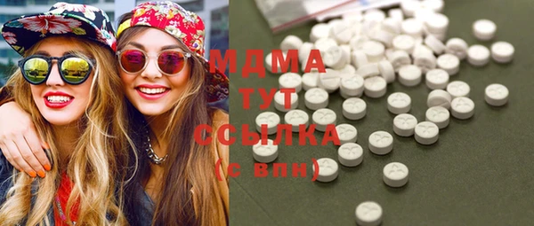 индика Арсеньев
