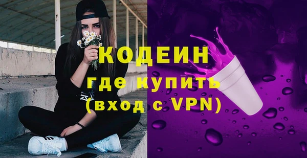 индика Арсеньев